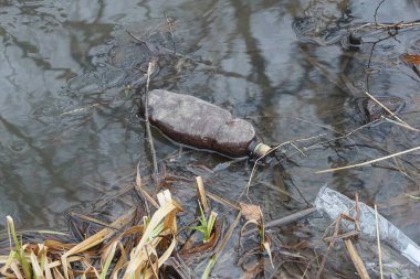 garbage from one old dirty brown plastic bottle in gray lake water among plants and algae