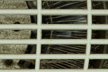 Örümcek ağındaki eski kirli bir kafesin plastik dokusu