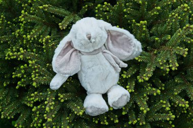 Bir gri beyaz tavşan oyuncağı doğadaki yeşil kozalaklı çalıların üzerinde yatıyor.