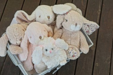 Beyaz gri pelüş oyuncak tavşanlar ve kahverengi bir masanın üzerindeki kutuda yatan bir köpek.