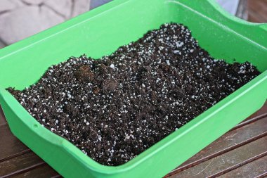 Bir yeşil plastik kutu, kara toprak ve eski gübre kahverengi bir masada duruyor.