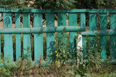 Kırsal sokaktaki çitlerden gelen yeşil ahşap bir çitin üzerinde.