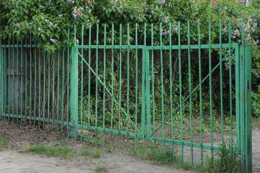 Yeşil demir parmaklıklardan yapılmış kırsal metal kapı ve sokaktaki bitki örtüsünün bir kısmı.