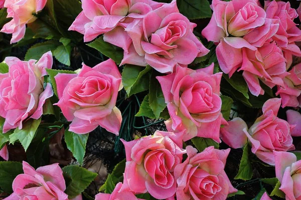 Textura Botões Artificiais Rosa Flores Rosa Com Folhas Verdes Uma — Fotografia de Stock