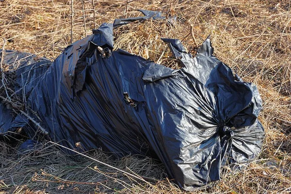 One Black Large Torn Garbage Bag Brown Dry Grass Street — Stock Photo, Image