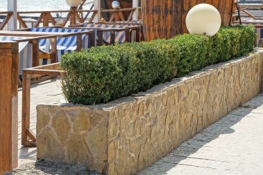 Açık hava restoranındaki masaların ve sandalyelerin önünde yeşil bitkilerle kahverengi taş bariyerden yapılmış uzun bir saksı.