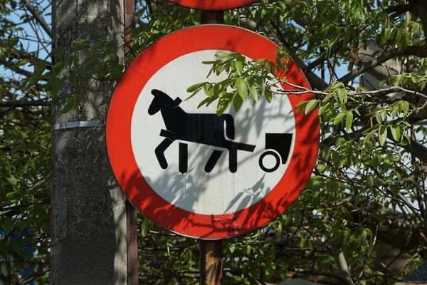 一个圆圆的路标 一个没有过马路的标志 在绿树成荫的街道上 一个有马在杆子上的推车 — 图库照片