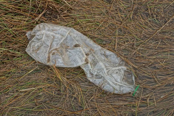 Una Gran Botella Plástico Blanco Sucio Encuentra Hierba Marrón Naturaleza —  Fotos de Stock