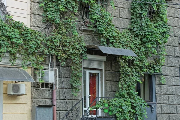 Mur Béton Gris Une Maison Avec Fenêtres Une Porte Blanche — Photo