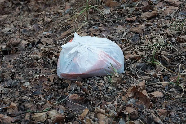 One White Bag Garbage Road Grass Brown Fallen Leaves — Zdjęcie stockowe