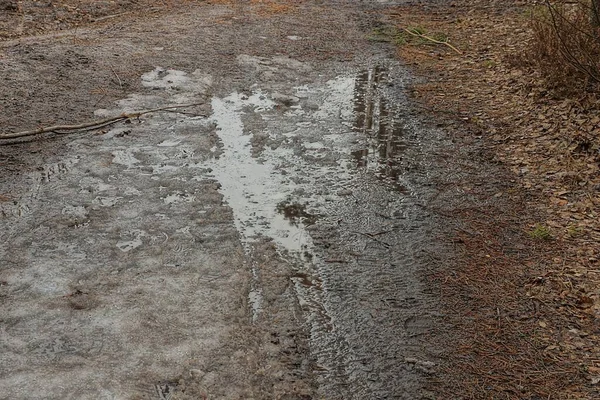 Charco Agua Sobre Hielo Blanco Nieve Camino Forestal — Foto de Stock