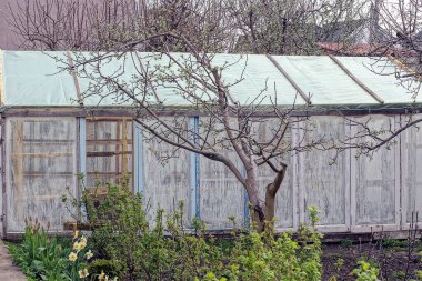 part of a white greenhouse made of glass and cellophane among the greenery and vegetation in the garden