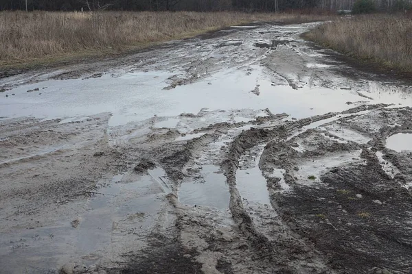 big puddle of dirty water on the gray earth of a rural road near dry grass