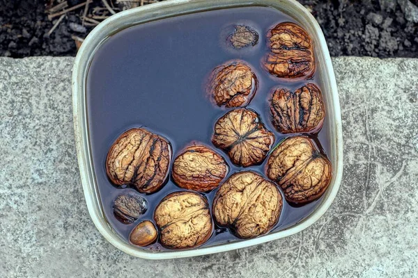 One Bowl Brown Walnuts Black Water Stands Gray Table — 스톡 사진