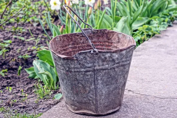 One Old Metal Bucket Stands Pavement Green Vegetation Street — Fotografia de Stock