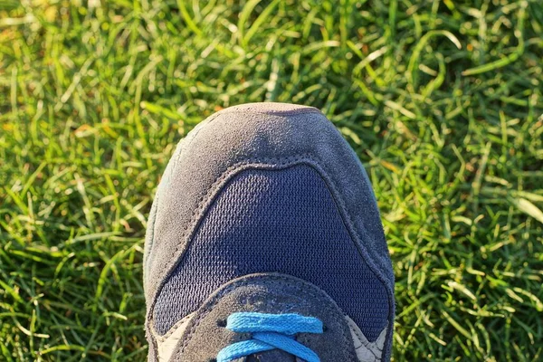 One Blue Sneaker Made Fabric Suede Green Grass Nature — Stock Photo, Image