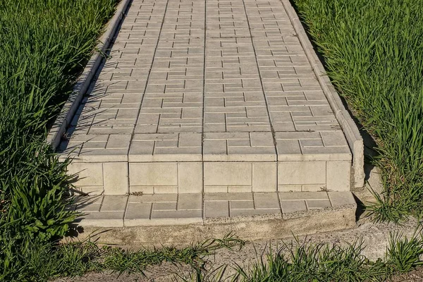 Part Long Alley Gray Paving Slabs Green Grass Summer Park — Stockfoto