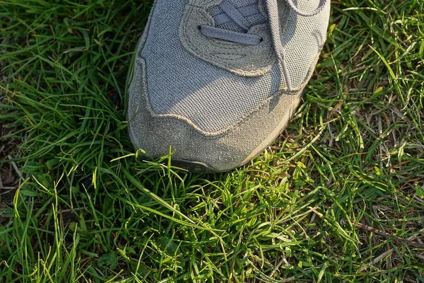 One Gray Sneaker Made Fabric Suede Green Grass Nature — Stock Photo, Image