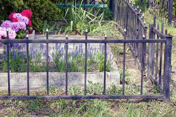 墓地の墓の鉄格子で作られた黒い金属製の装飾フェンスの一部 — ストック写真