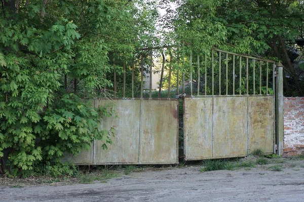 One Large Green Closed Old Metal Gate Brown Rust Rural — Stock Photo, Image