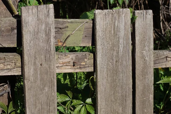 Kırsal bir sokakta yeşil bitki örtüsüyle kaplanmış kırık tahtaları olan eski gri ahşap çit duvarı.
