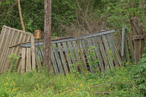 Gammal Grå Trästaket Vägg Med Trasiga Brädor Igenväxta Med Grön — Stockfoto