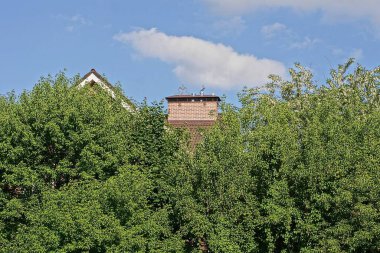 Bir evin çatısında kahverengi tuğladan bir baca büyümüş ve caddede mavi gökyüzüne karşı yeşil ağaç dalları var.