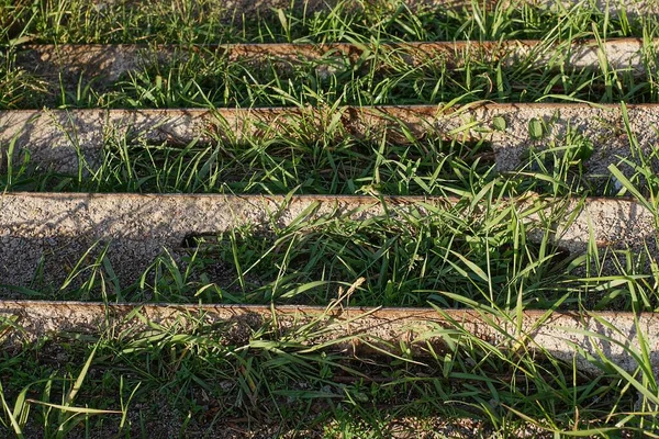 Textura Velhos Passos Concreto Cinza Musgo Verde Coberto Com Grama — Fotografia de Stock