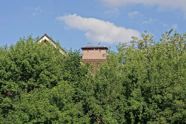Bir evin çatısında kahverengi tuğladan bir baca büyümüş ve caddede mavi gökyüzüne karşı yeşil ağaç dalları var.