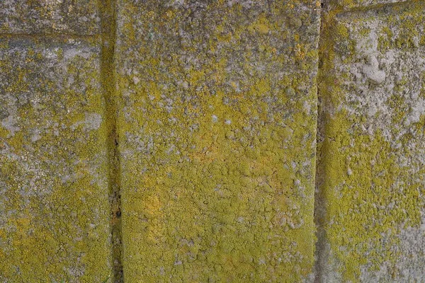 Gray Yellow Stone Texture Dirty Concrete Wall Street — Stock Photo, Image