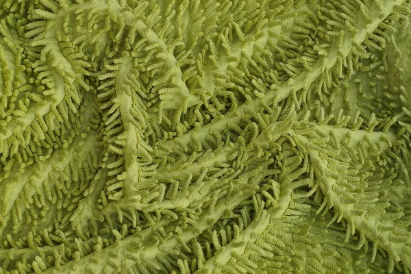 Uzun Yünlü Buruşuk Bir Halının Yeşil Kumaş Dokusu — Stok fotoğraf