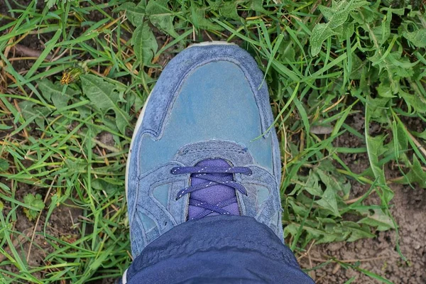 一只由皮革制成的蓝色运动鞋 在绿色的草地上滑行 — 图库照片
