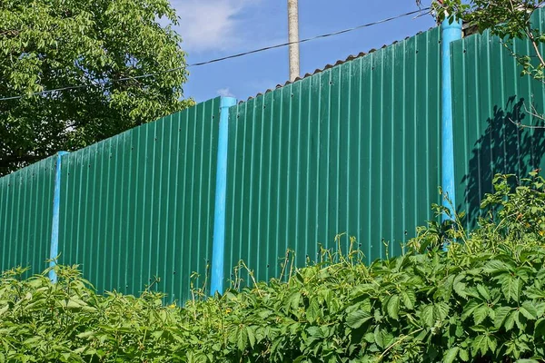 green metal fence wall overgrown with vegetation and grass on a rural street against a blue sky
