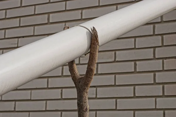 Jedna Biała Długa Plastikowa Rura Odpływowa Szarym Drewnianym Przystanku Przy — Zdjęcie stockowe
