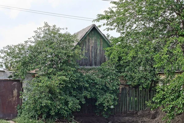 One Old Gray Wooden Attic Rural House Overgrown Green Vegetation — Stock Photo, Image