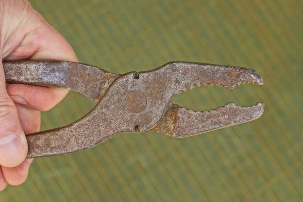 Hand Holds Old Gray Metal Cutter Brown Rust Green Background — Stock Photo, Image