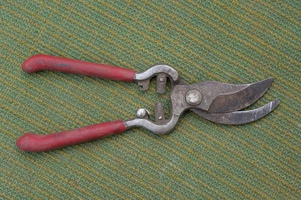One Gray Iron Pruner Scissors Red Plastic Handles Lies Green — Foto de Stock