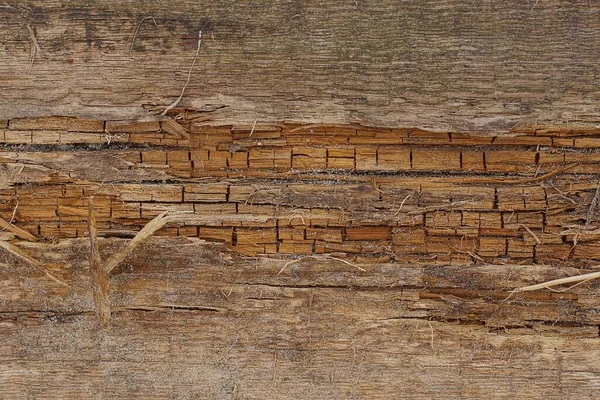 Brązowa Tekstura Drewna Starej Postrzępionej Deski — Zdjęcie stockowe
