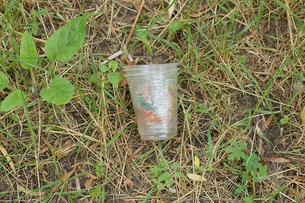 Garbage One White Plastic Cup Lies Grass Green Vegetation Nature — ストック写真