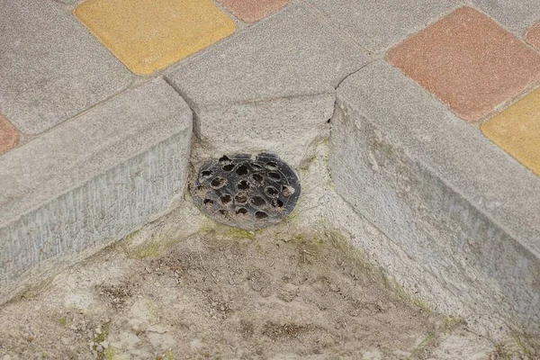 Drain Hole Closed Black Plastic Cover Gray Concrete Curb Colored — Stockfoto
