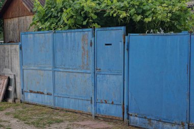 mavi eski paslı metal kapı ve yeşil bitki örtüsünde kırsal bir sokakta çitin üzerinde kapalı bir kapı.