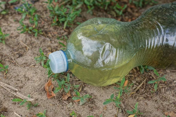 garbage from one dirty white bottle with a yellow drink lies on the gray ground and green grass on the street