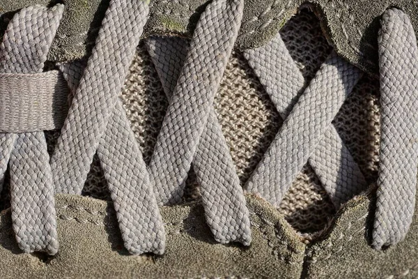 Gray Texture Fabric Lace Leather Sneaker — Foto de Stock