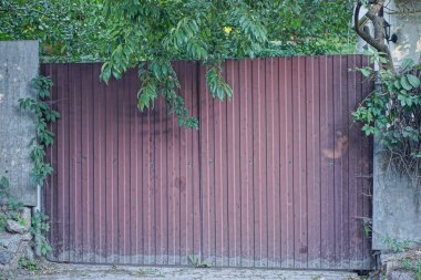 one old brown iron gate on a gray fence wall in green vegetation on a rural street
