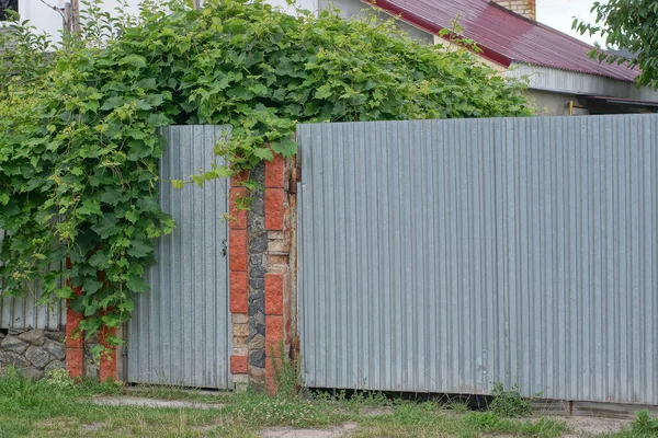 gray closed iron door on a metal fence wall in green grass and vegetation on a rural street