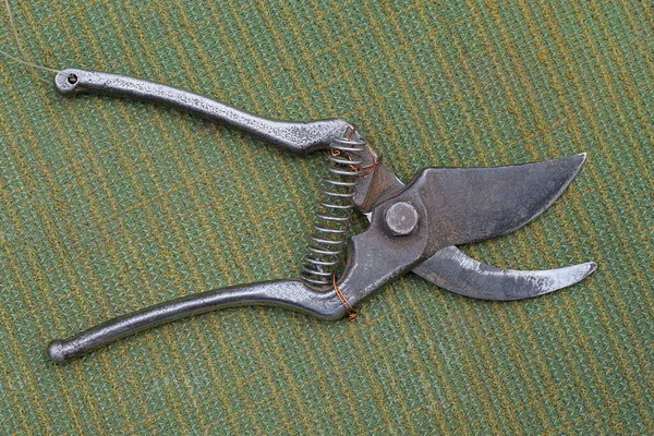 one gray old iron tool pruner lies on a green cloth table