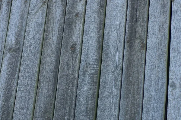 Gray Wooden Background Old Worn Boards Wall Fence — 图库照片