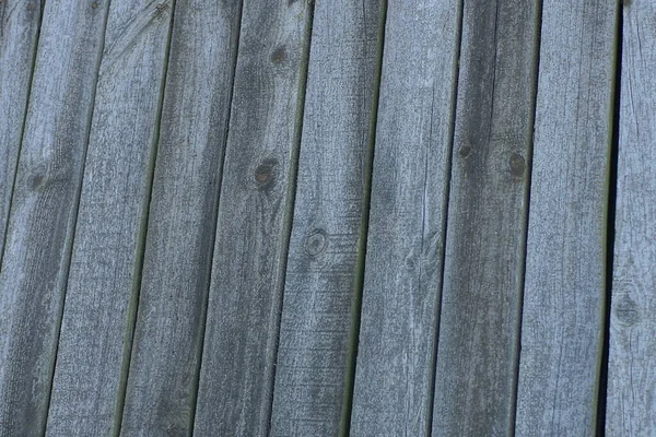 Gray Wooden Background Old Worn Boards Wall Fence — 스톡 사진