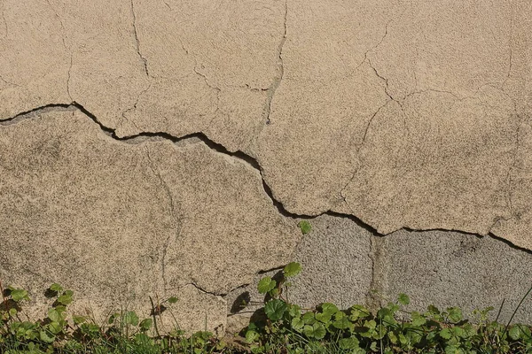 Gray Brown Stone Texture Old Cracked Concrete Wall Green Grass — Stock Photo, Image