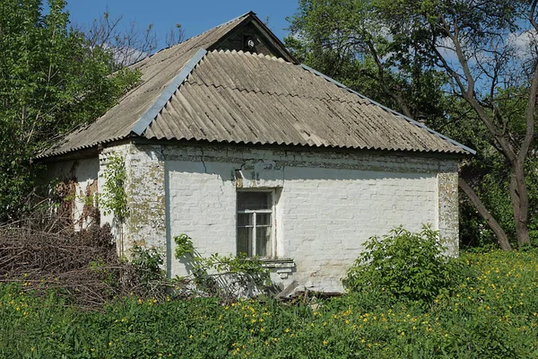 One Old White Rural Brick House Gray Slate Roof Overgrown — Stock Photo, Image